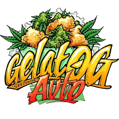 Seedsman Gelat.OG Auto feminisiert