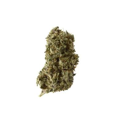 Amsterdam Genetics Kosher Tangie Kush feminisiert