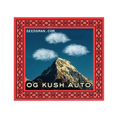 Seedsman OG Kush Auto feminisiert