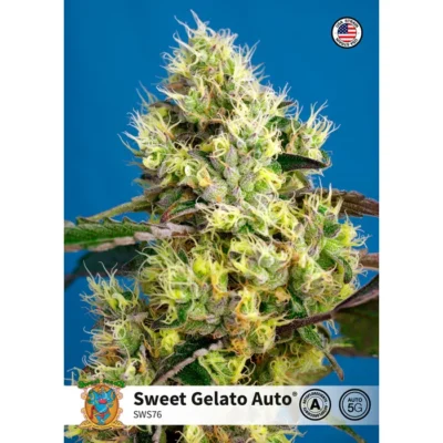 Sweet Seeds Sweet Gelato Auto feminisiert