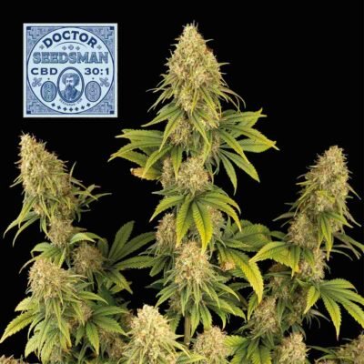 Seedsman Doctor Seedsman CBD 30:1 feminisiert