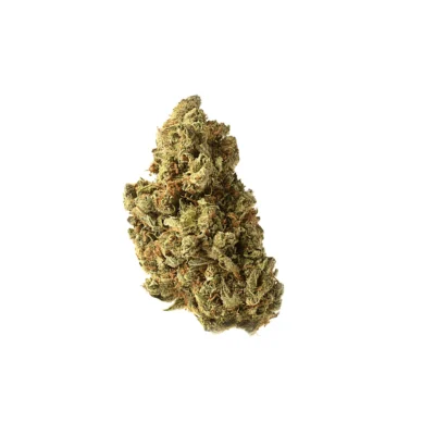Amsterdam Genetics Amazing Haze feminisiert