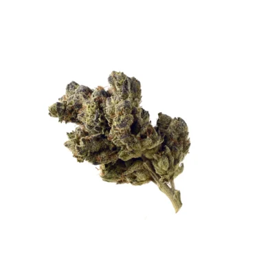 Amsterdam Genetics Blue Magic feminisiert