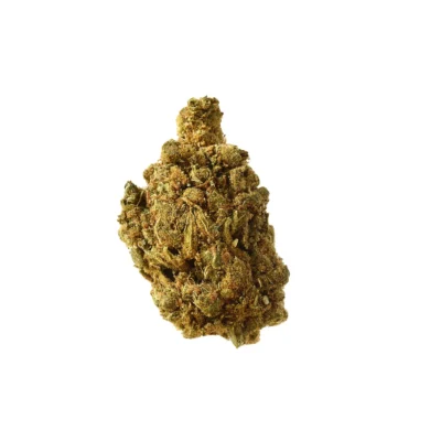 Amsterdam Genetics Blue Amnesia Auto feminisiert