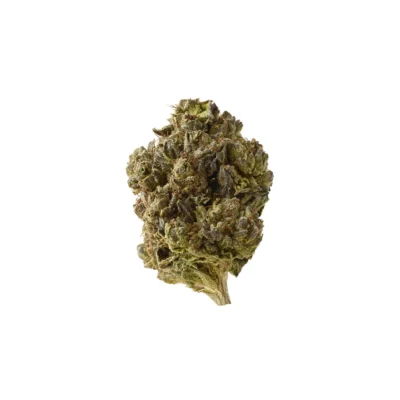 Amsterdam Genetics Double Blue feminisiert