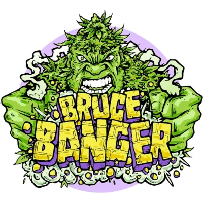 Seedsman Bruce Banger Fast feminisiert