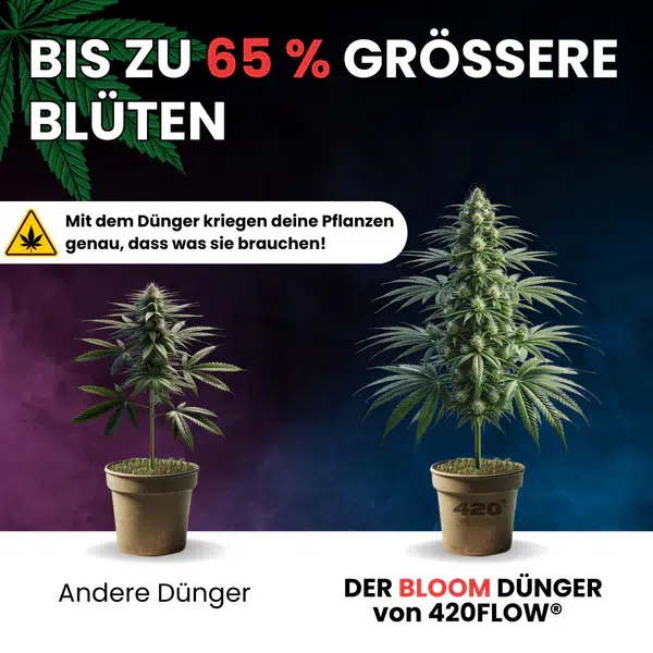 420flow Der Bloom Dünger – Bild 9