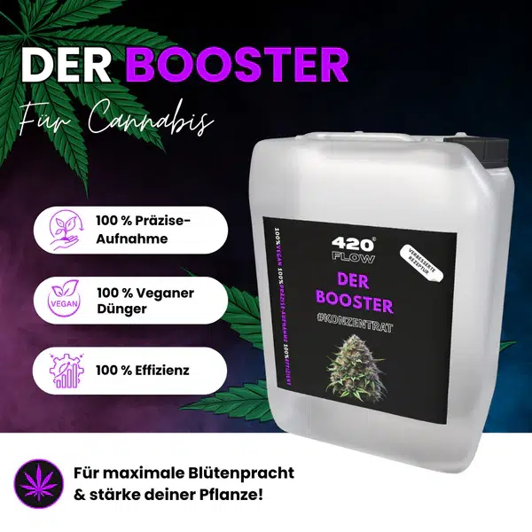 420flow Der Booster – Bild 7
