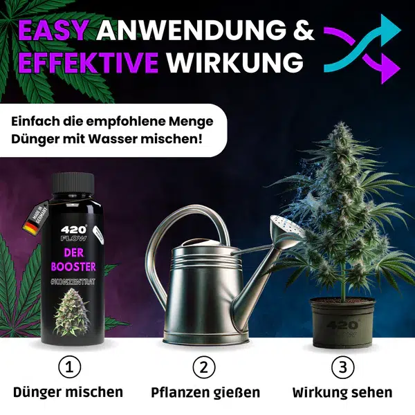 420flow Der Booster – Bild 4