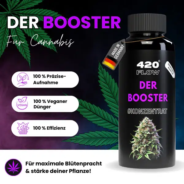 420flow Der Booster – Bild 2