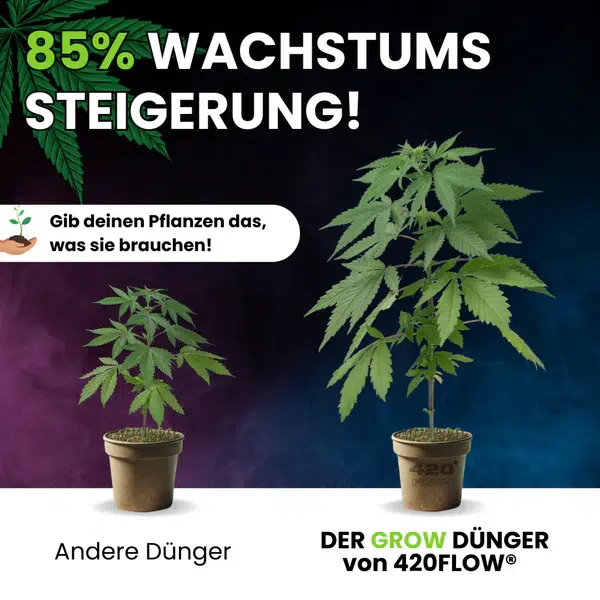 420flow Der Grow Dünger – Bild 10