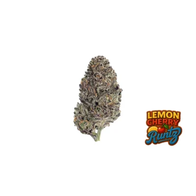 Fast Buds Lemon Cherry Runtz Hanfsamen