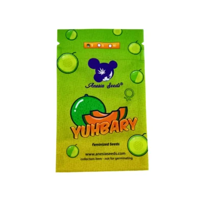 Anesia Seeds Yuhbary – 3 Samen
