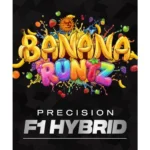Barneys Farm Banana Runtz F1 3er Packung