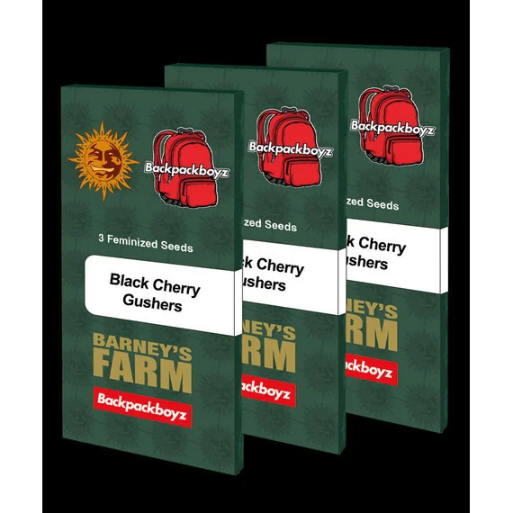 Barneys Farm Black Cherry Gushers 3er Pack – Bild 4