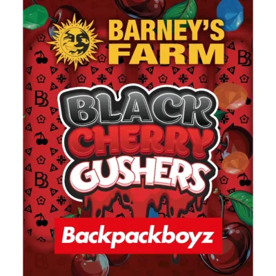 Barneys Farm Black Cherry Gushers 3er Pack