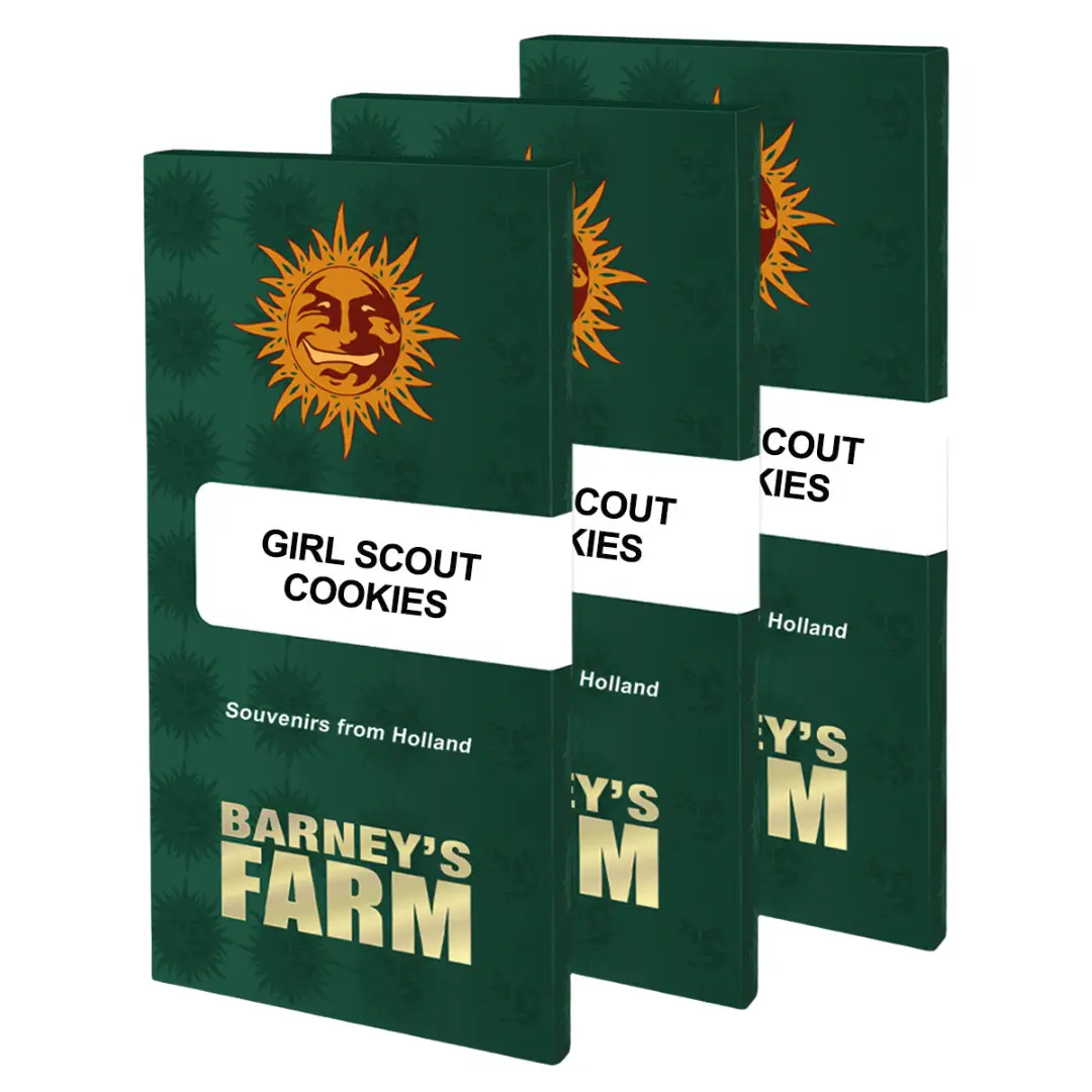 Barneys Farm Girl Scout Cookies 3er Pack – Bild 2