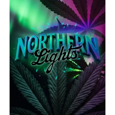 Barneys Farm Northern Lights 3er Packung
