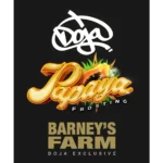 Barneys Farm Papaya Frosting 3er Pack
