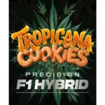 Barneys Farm Tropicana Cookies Auto 3er Packung
