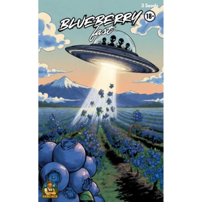 Hanfjack Seeds Blueberry Fast – 3 Seeds