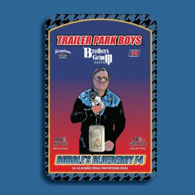 Brothers Grimm Seeds Bubble’s Blueberry F4 feminisiert – 9 Samen (Trailer Park Boys Collab)