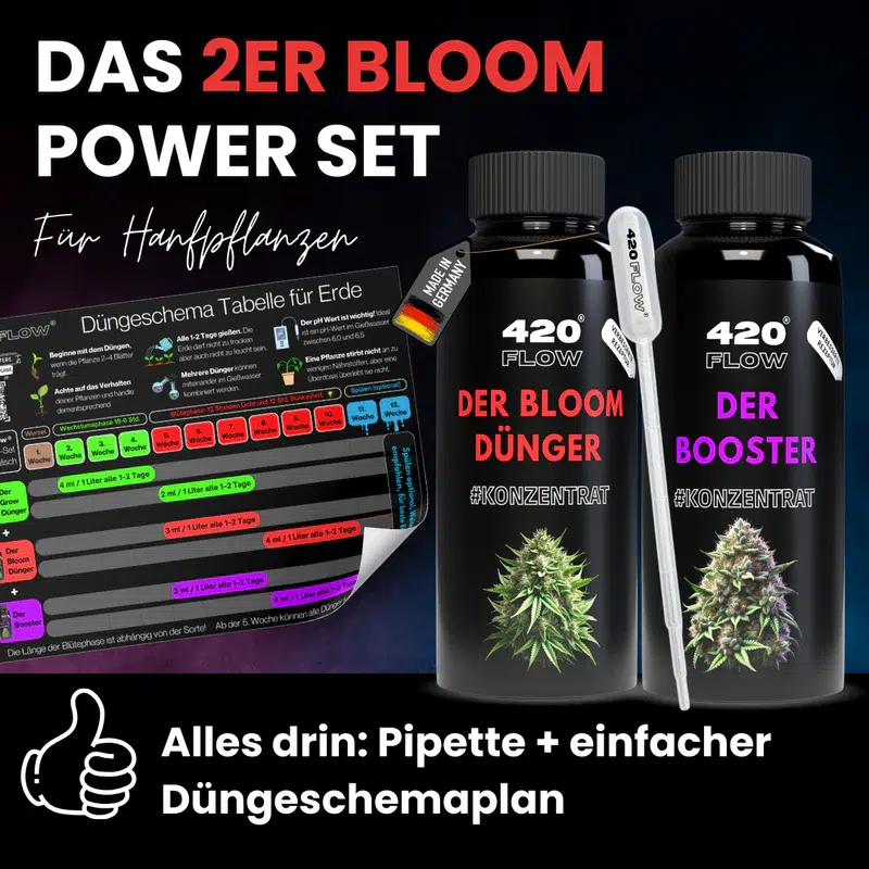 420flow Das Set Bloom + Booster – Bild 5