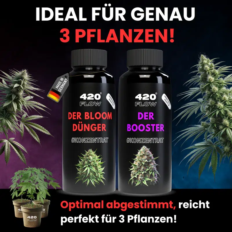 420flow Das Set Bloom + Booster – Bild 6