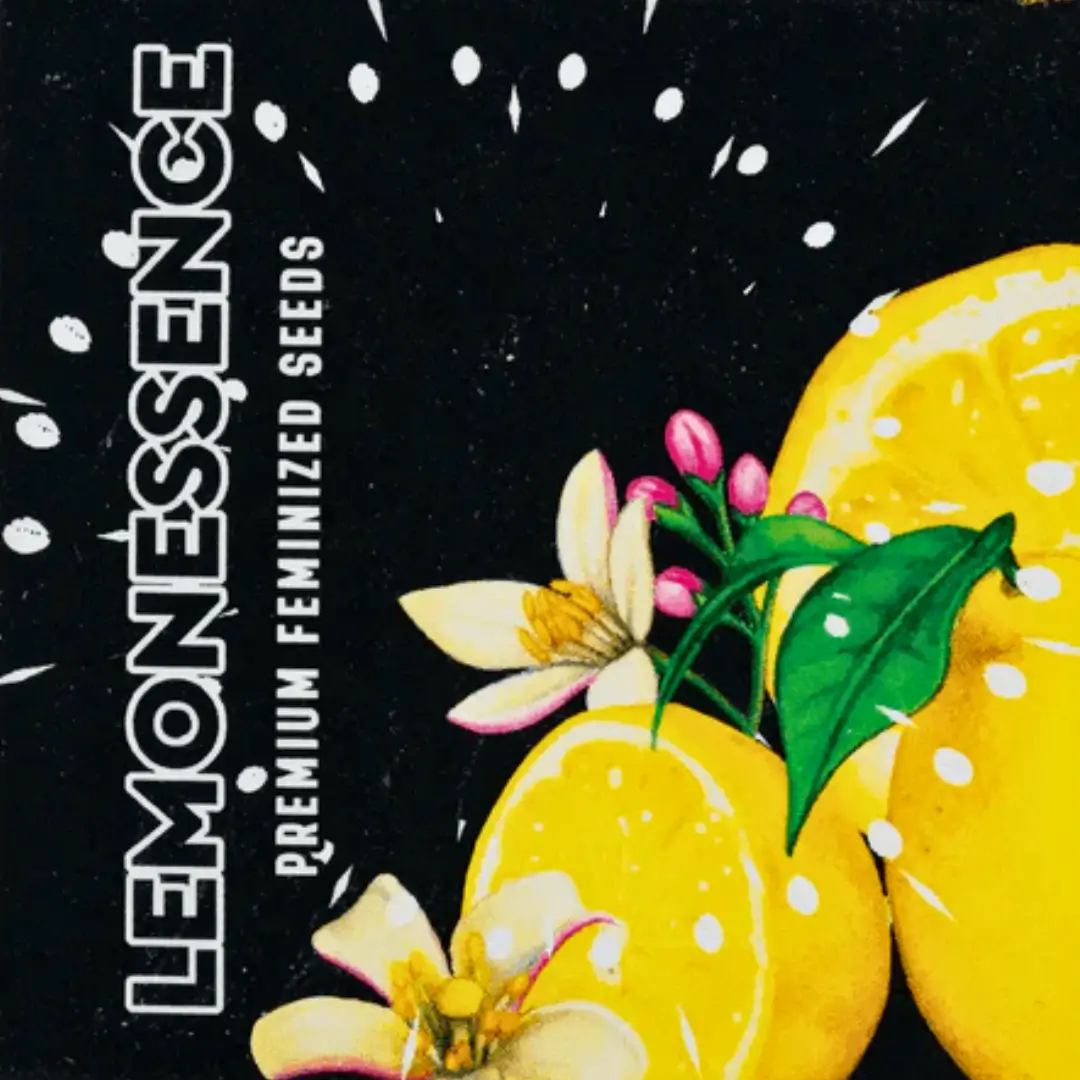 Doja Lemonessence - 6 Stück