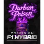 Barneys Farm Durban Poison F1 3er Packung