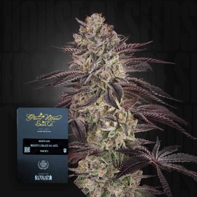 Green House Seed Co. Biscotti Auto