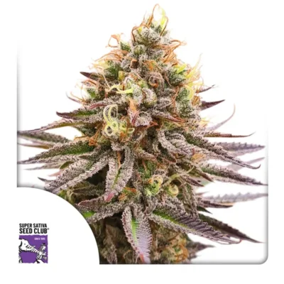Dutch Passion Gorilla Super Glue – 3 Samen