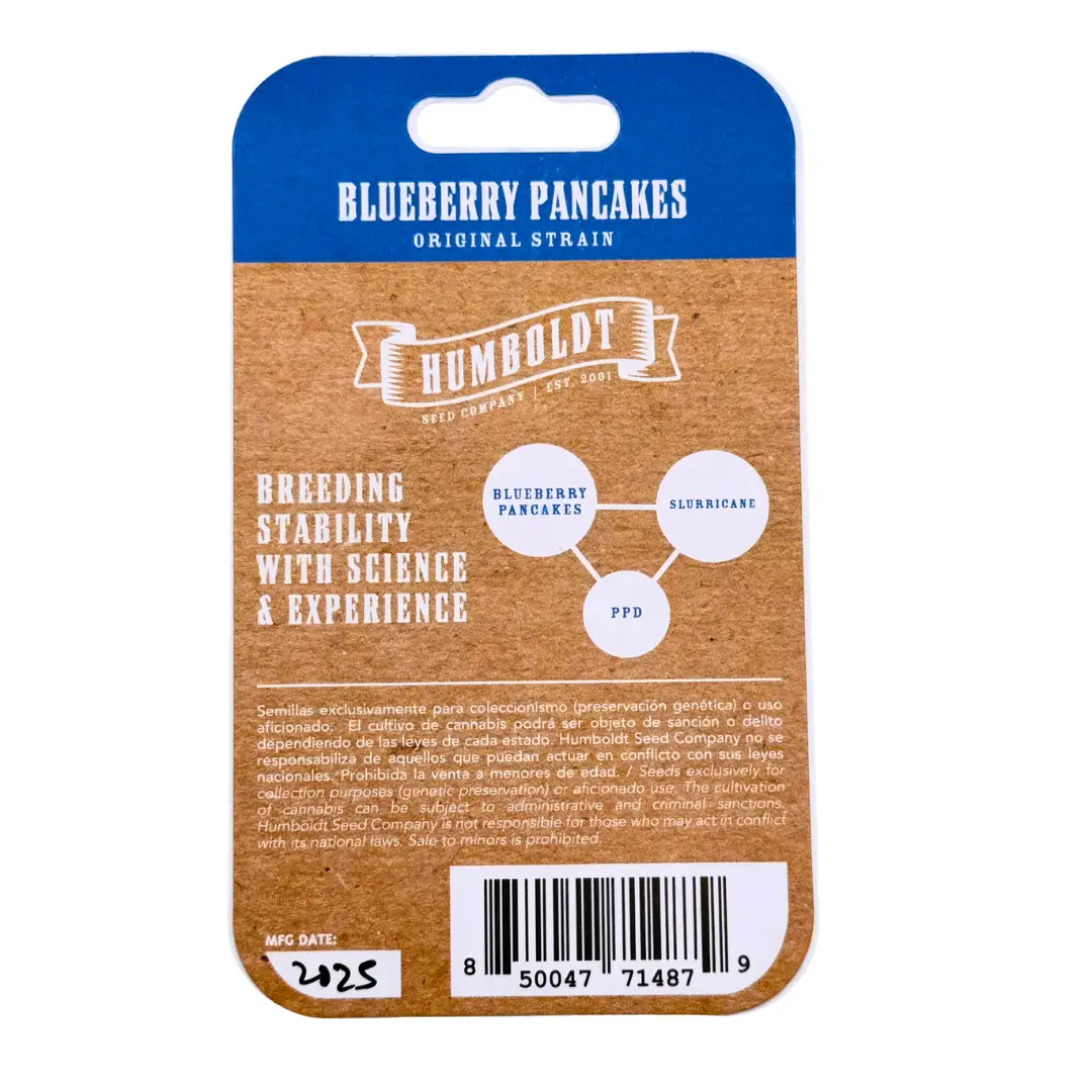 Humboldt Seed Co. Blueberry Pancakes - 3 Samen – Bild 4