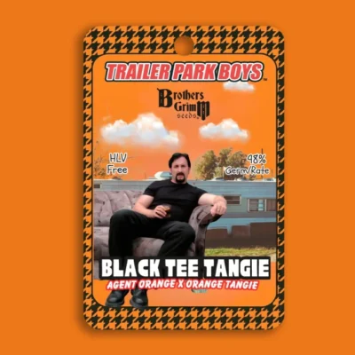 Brothers Grimm Seeds Julian’s Black Tee Tangie feminisiert – 9 Samen (Trailer Park Boys Collab)