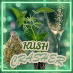 Kush Crasher