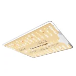 Spider Farmer SF-1000-D 100W Vollspektrum LED Pflanzenlampe nicht dimmbar 2026